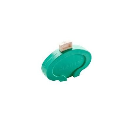 Automatiniai lancetai 2,5mm x 1mm BD QuickHeel (žali) N10